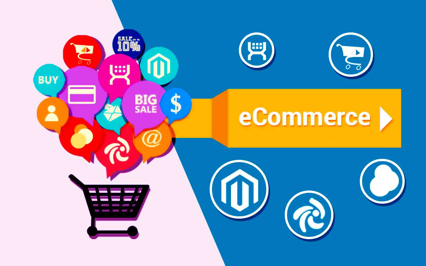 E-commerce Website, Contact Swarag Sharma Freelancer